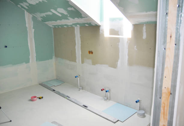 Best Water Damage & Mold Remediation  in Lino Lakes, MN