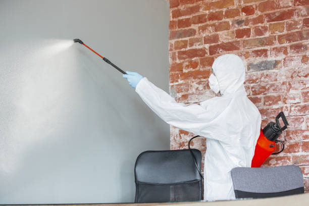 Biohazard Mold Removal in Lino Lakes, MN