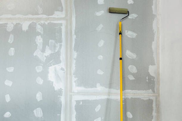 Best Comprehensive Air Testing for Mold Contaminants  in Lino Lakes, MN