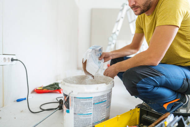 Best Attic Mold Removal  in Lino Lakes, MN