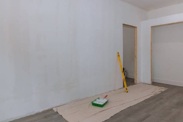 Best Attic Mold Removal  in Lino Lakes, MN