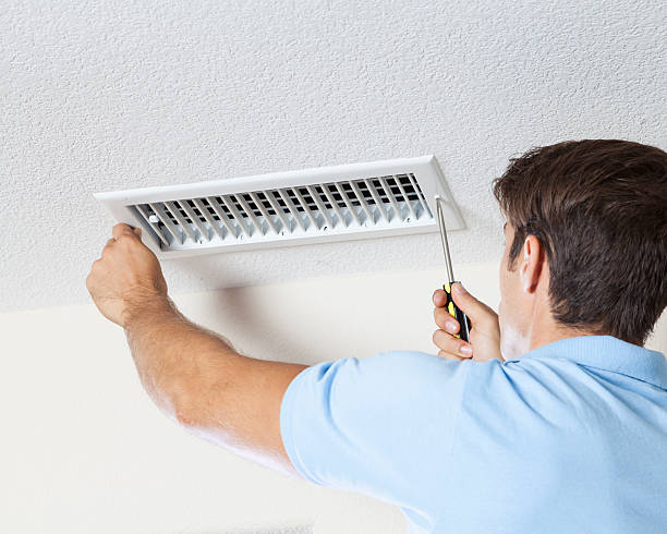 Best HVAC Mold Inspection and Cleaning  in Lino Lakes, MN