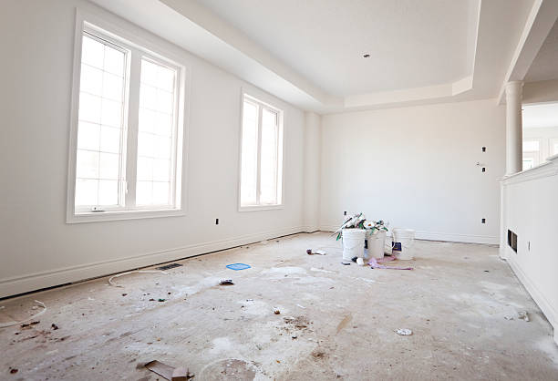 Best Crawl Space Mold Remediation  in Lino Lakes, MN