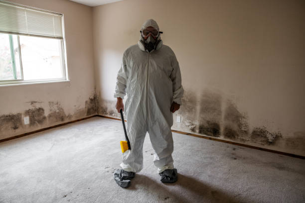 Best Air Quality Testing for Mold Spores  in Lino Lakes, MN