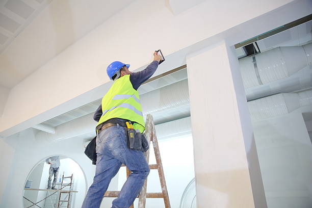 Best Emergency Mold Remediation  in Lino Lakes, MN