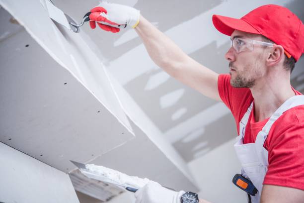 Best Residential Mold Inspection & Testing  in Lino Lakes, MN